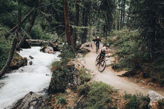 Utforska den svenska terrängen med mountainbike